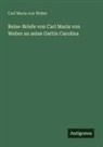 Carl Maria von Weber - Reise-Briefe von Carl Maria von Weber an seine Gattin Carolina