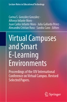 Sandra Cano, J Carlos Infante Moro et al, Carina S. González González, Alfonso Infante Moro, Alfonso Infante Moro, Juan Carlos Infante Moro... - Virtual Campuses and Smart E-Learning Environments