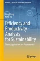 Kerui Du, Ning Zhang - Efficiency and Productivity Analysis for Sustainability