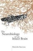 Burrows, Burrows Malcolm - NEUROBIOL INSECT BRAIN C