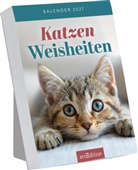Abreißkalender Katzenweisheiten 2027