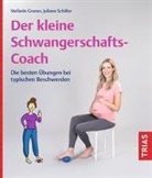Stefanie Gruner, Juliane Schäfer - Der kleine Schwangerschafts-Coach