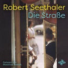 Robert Seethaler, Matthias Brandt - Die Straße, 4 Audio-CD (Audio book)