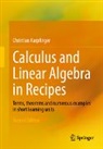 Christian Karpfinger - Calculus and Linear Algebra in Recipes