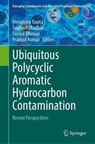 Soniya Dhiman, Soniya Dhiman et al, Himanshu Gupta, Pramod Kumar, Sughosh Madhav - Ubiquitous Polycyclic Aromatic Hydrocarbon Contamination