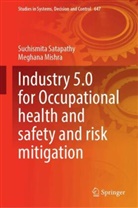 Meghana Mishra, Suchismita Satapathy - Industry 5.0 for Occupational health and safety and risk mitigation