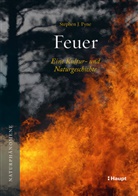 Stephen J Pyne, Stephen J. Pyne, Susanne Schmidt-Wussow - Feuer
