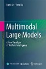 Liang Lin, Yang Liu - Multimodal Large Models