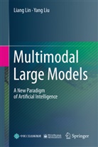 Liang Lin, Yang Liu - Multimodal Large Models