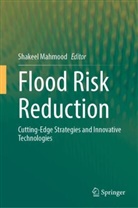 Shakeel Mahmood - Flood Risk Reduction