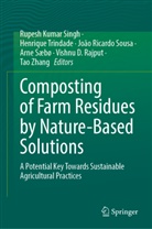 Vishnu D. Rajput, João Ricardo Sousa et al, Arne Sæbø, Rupesh Kumar Singh, João Ricardo Sousa, Henrique Trindade... - Composting of Farm Residues by Nature-Based Solutions
