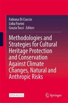 Fabiana Di Ciaccio, Lidia Fiorini, Grazia Tucci - Methodologies and Strategies for Cultural Heritage Protection and Conservation Against Climate Changes, Natural and Anthropic Risks