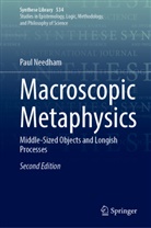 Paul Needham - Macroscopic Metaphysics