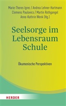 Marie-Theres Igrec, Andrea Lehner-Hartmann, Clemens Paulovics, Clemens Paulovics u a, Martin Rothgangel, Anne-Kathrin Wenk - Seelsorge im Lebensraum Schule