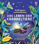 Minna Lacey, Rossella Trionfetti - Aufklappen und Entdecken: Das Leben der Krabbeltiere