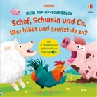 Sam Taplin, Craig Shuttlewood - Mein Pop-up-Soundbuch: Schaf, Schwein und Co. - Wer blökt und grunzt da so?