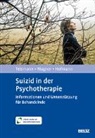 Laura Hofmann, Tobias Teismann, Birgit Wagner - Suizid in der Psychotherapie