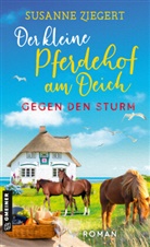 Susanne Ziegert - Der kleine Pferdehof am Deich - Gegen den Sturm