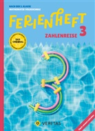 Caterine Salomon, Jutta Schabh&uuml;ttl - Mathematik Ferienhefte - Volksschule - 3. Klasse