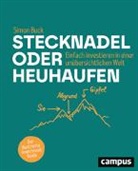 Simon Buck, Anatolij Pickmann, Anatolij Pickmann - Stecknadel oder Heuhaufen