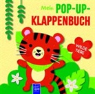 Mein Pop-Up-Klappenbuch - Wilde Tiere