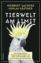 Niklas Kästner, Norbert Sachser - Tierwelt am Limit
