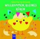 Gema Melgar - Meine Pop-Up-Freunde: Willkommen, kleines Küken