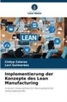 Cintya Colares, Levi Guimarães - Implementierung der Konzepte des Lean Manufacturing