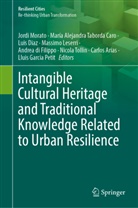 María Alejandra Taborda Caro, Carlos Arias, Andrea Di Filippo, Luis Diaz, Luis Diaz et al, Lluis Garcia Petit... - Intangible Cultural Heritage and Traditional Knowledge Related to Urban Resilience