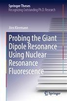 J&ouml;rn Kleemann - Probing the Giant Dipole Resonance Using Nuclear Resonance Fluorescence