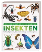 DK Verlag - Kids, DK Verlag - Kids - Unsere Welt in 1000 Bildern. Insekten