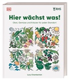 Lucy Chamberlain, DK Verlag - Hier wächst was!