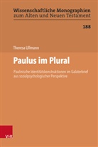 Theresa Ullmann, David S. du Toit, Martin Leuenberger, Schnocks, Johannes Schnocks, Michael Tilly - Paulus im Plural