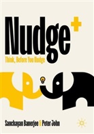Sanchayan Banerjee, Peter John - Nudge+