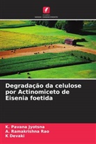 K Devaki, K. Devaki, K. Pavana Jyotsna, A. Ramakrishna Rao - Degrada&ccedil;&atilde;o da celulose por Actinomiceto de Eisenia foetida
