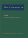 MORIN, Flora of North America Editorial Committee, Morin Nancy R. - Flora of North America: Volume 3: Magnoliophyta: Magnoliidae and Hamamelidae