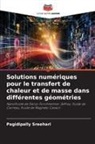 Pagidipally Sreehari - Solutions numériques pour le transfert de chaleur et de masse dans différentes géométries