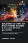 Pagidipally Sreehari - Soluzioni numeriche del trasferimento di calore e massa in diverse geometrie