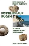 Uwe Kankel, Frank Rudolph - Fossilien auf Rügen