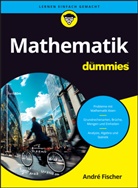 André Fischer - Mathematik für Dummies