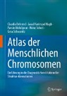 Claudia Behrend, Javad Karimzad Hagh, P Mehdipour, Parvin Mehdipour, Heinz Schott, Gesa Schwanitz - Atlas der Menschlichen Chromosomen