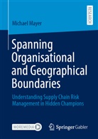 Michael Mayer - Spanning Organisational and Geographical Boundaries