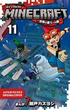 Kazuyoshi Seto - Minecraft 11