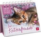 Groh Verlag - Mini-Wochenkalender 2027: Für Katzenfreunde