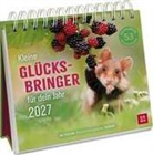 Julian Rad - Postkartenkalender 2027: Kleine Glücksbringer für dein Jahr
