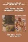 Gbile Akanni, Zacharias Godseagle, David Salem - Gbile Akanni - Walking in the Light - God is Light - The Guidepost For the End Time Believer Series - 3 of 22