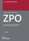 Ingo Saenger, Oliver Siebert, Christoph Ullrich - Zivilprozessordnung: ZPO