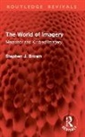 Brown Stephen J. - The World of Imagery