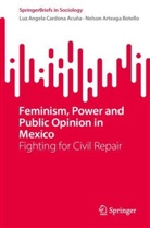 Nelson Arteaga Botello, Luz Angela Cardona Acuña - Feminism, Power and Public Opinion in Mexico
