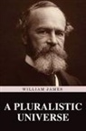 William James - A Pluralistic Universe